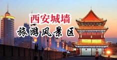 狂进狂出插入女秘书动态图中国陕西-西安城墙旅游风景区